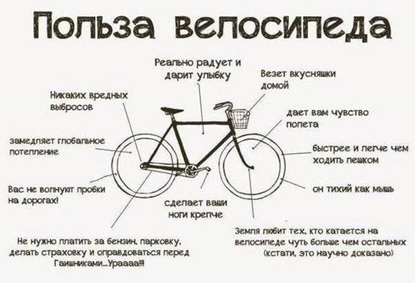 Велосипед и здоровье